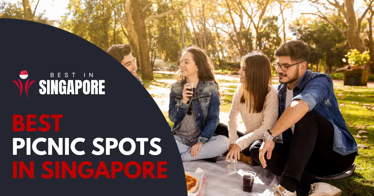 20 Best Picnic Spots in Singapore [2024] BestInSingapore
